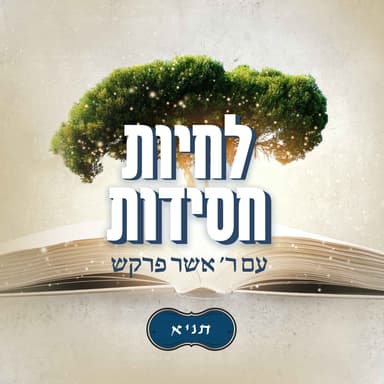 פרק ט - חלק ראשון
