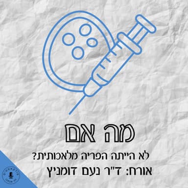 מה אם לא הייתה הפריה מלאכותית? ד״ר נעם דומניץ