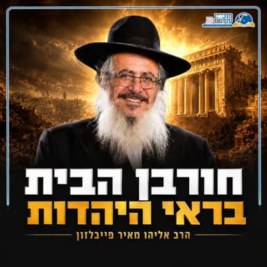 אבלות חורבן הבית - למה המדינה לא מרגישה כמו בית לעם היהודי