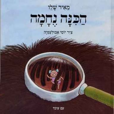 הכינה נחמה