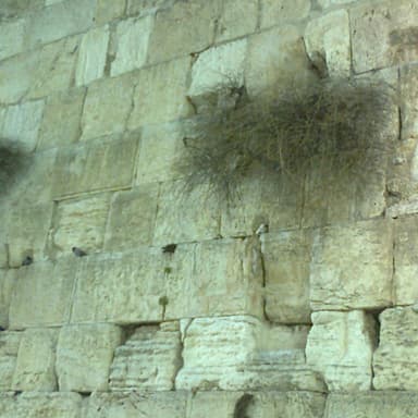 Episode 301: לשמור על הטוב.
