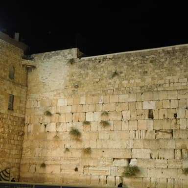 Episode 319: נקודת הבחירה
