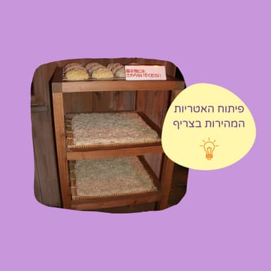 המצאת האטריות המהירות - סיפור של תרבות והשראה