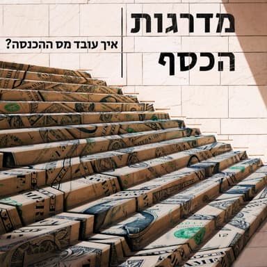 פרק 4 א' - איך עובד מס ההכנסה?