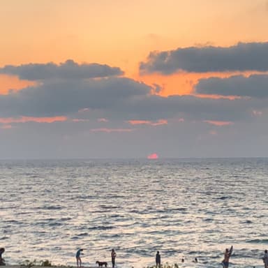 מטלה לטכנולוגיות סיוע- סער פונטיין