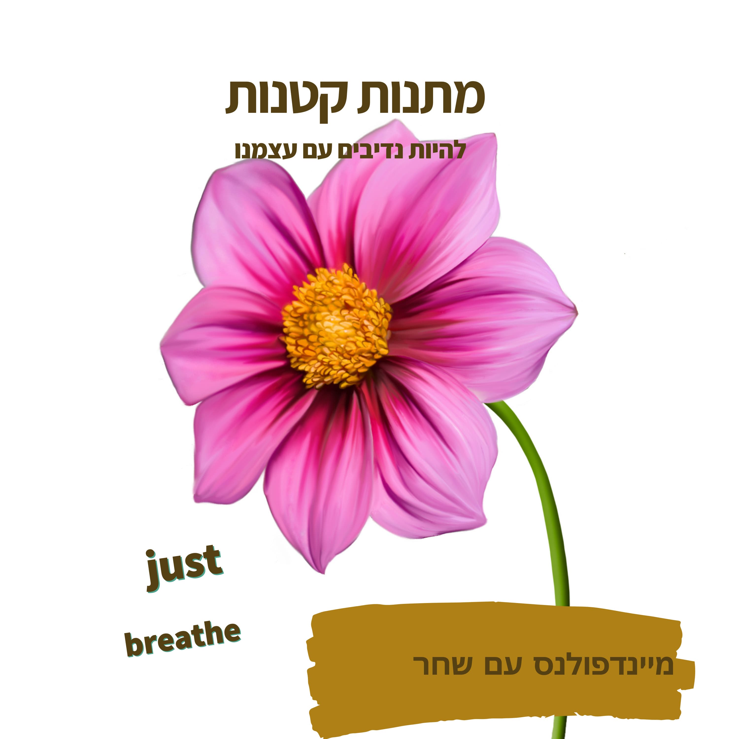 מתנות קטנות- להיות נדיבים עם עצמנו