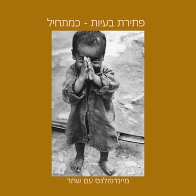 לגשת לפתירת בעיות בחיינו- בתודעה של מתחילים