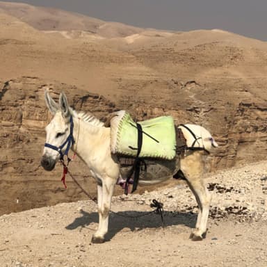 הדתה, לאומיות, ומשיחיות בכתבי אבות הציונות, בראי המאה ה-21. חלק ראשון