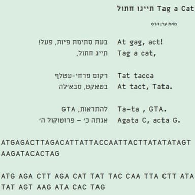 02. ערן הדס על מודלי שפה ומחשבים שכותבים שירה