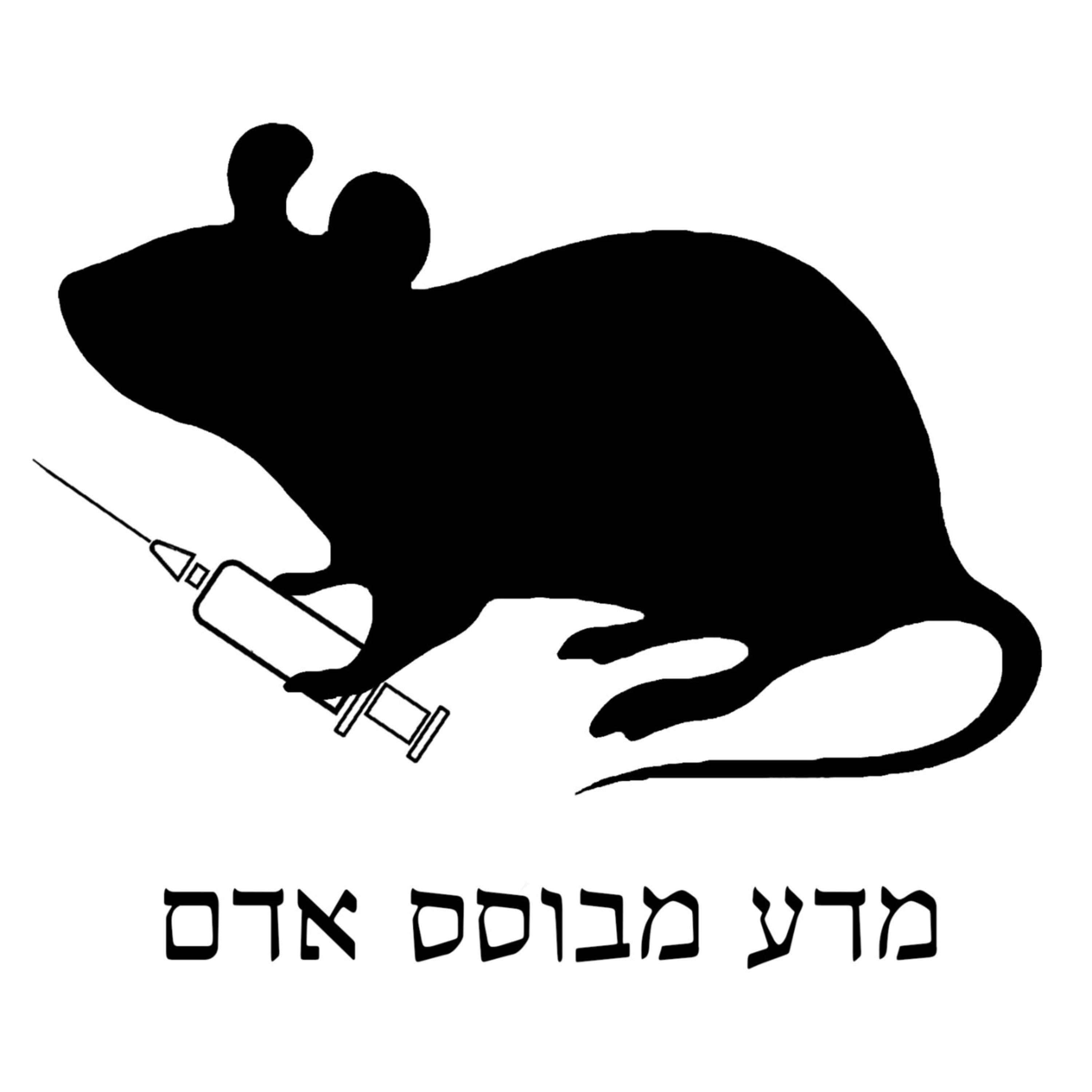 פרק 1: עבר