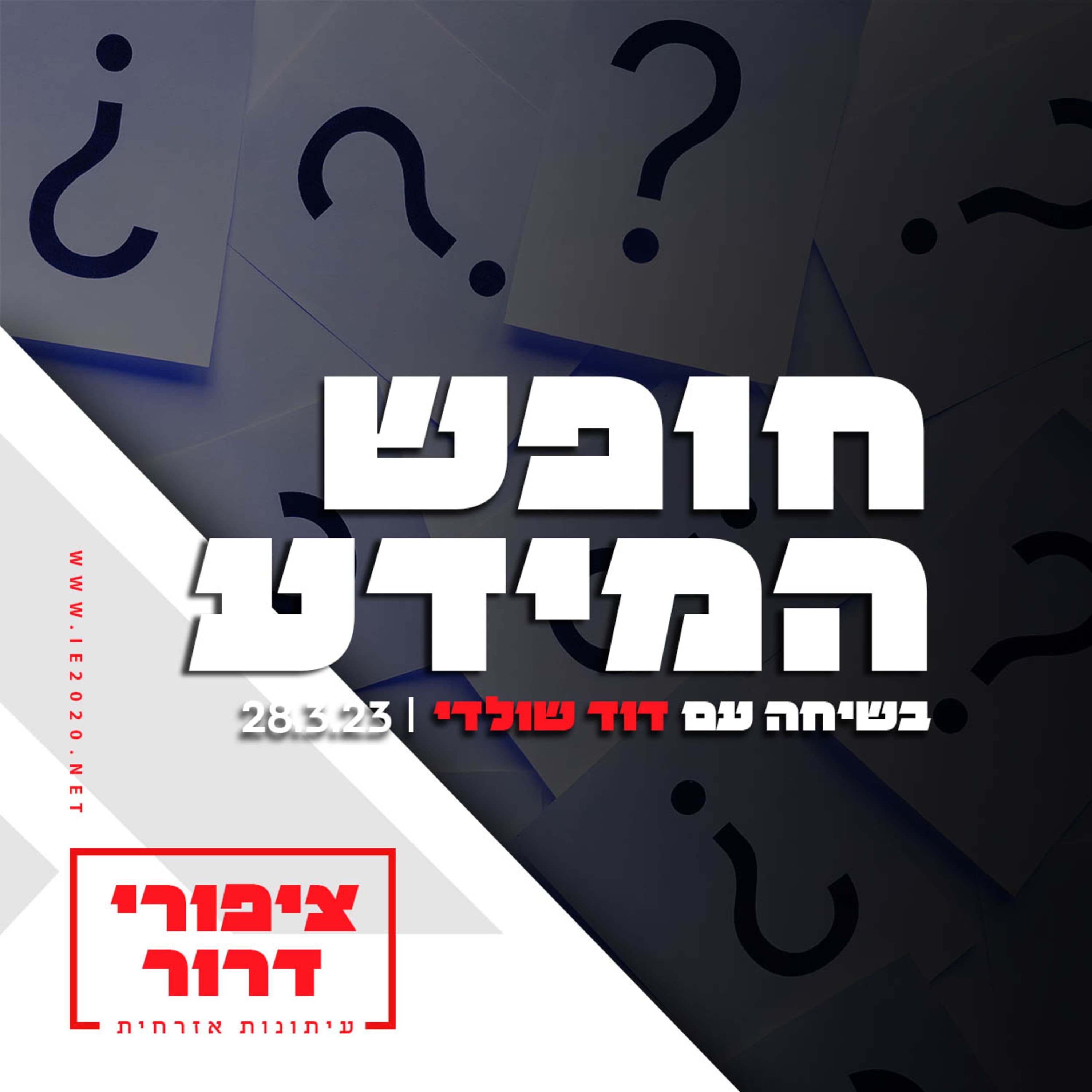 חופש המידע - בשיחה עם דוד שולדי