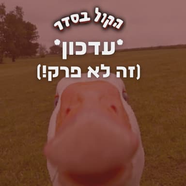 עדכון