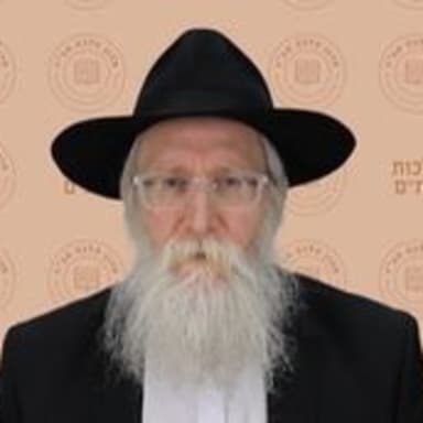 הלכות סת"ם - הרב משה ויינר שליט"א