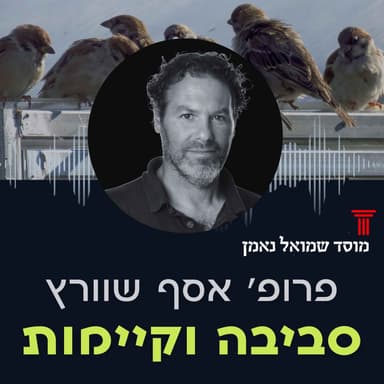 סביבה וקיימות | איך מתכננים ערים שטובות גם לאנשים וגם לטבע?