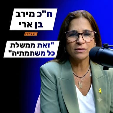 ח"כ מירב בן ארי - הכנסת, הממשלה, ההשפעה
