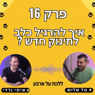 פרק 16 - איך להרגיל כלב לתינוק חדש ? פודקאסט ללכת על ארבע עם טל שלוש ואיתי ורדי אילוף כלבים