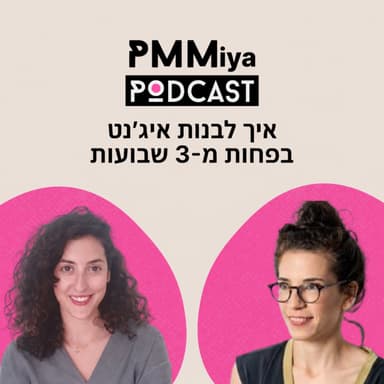 פרק 25: איך לבנות איג׳נט בפחות מ-3 שבועות
