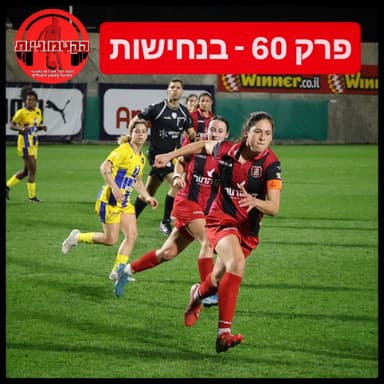 הקטמוניות #60 - בנחישות