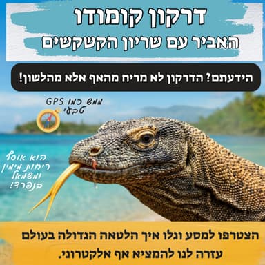 דרקון קומודו - האביר עם שריון הקשקשים