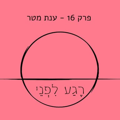 פרק 16 - ענת מטר
