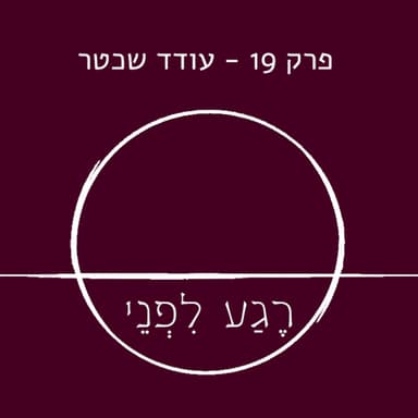 פרק 19 - עודד שכטר