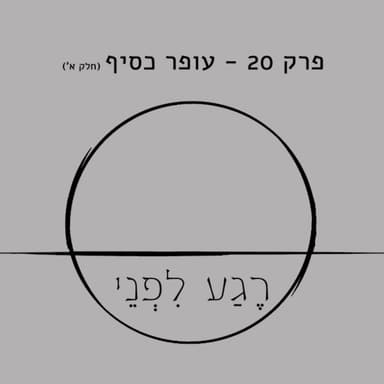פרק 20 - עופר כסיף (חלק א')
