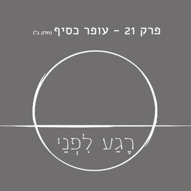 פרק 21 - עופר כסיף (חלק ב') - לאומיות