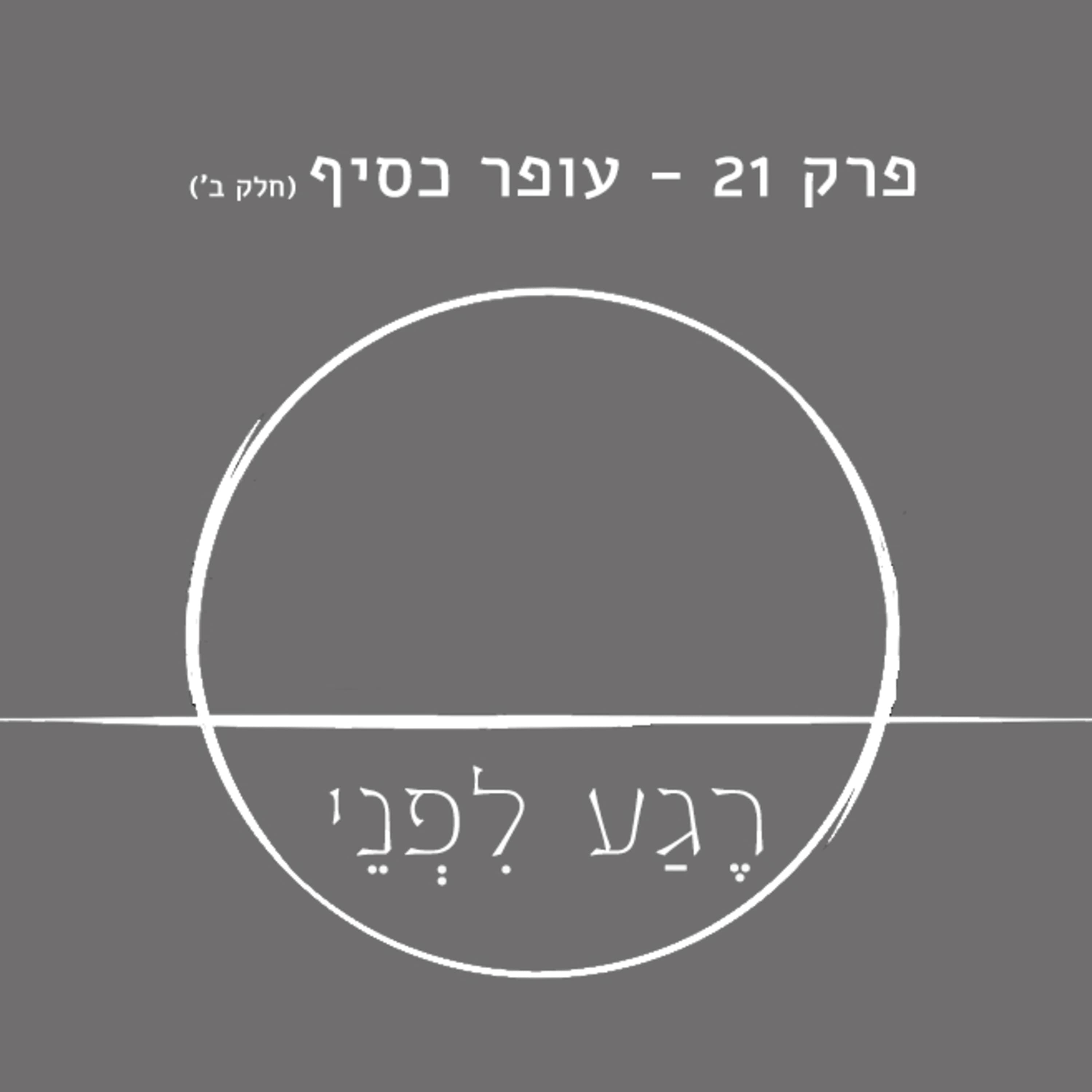 פרק 21 - עופר כסיף (חלק ב') - לאומיות