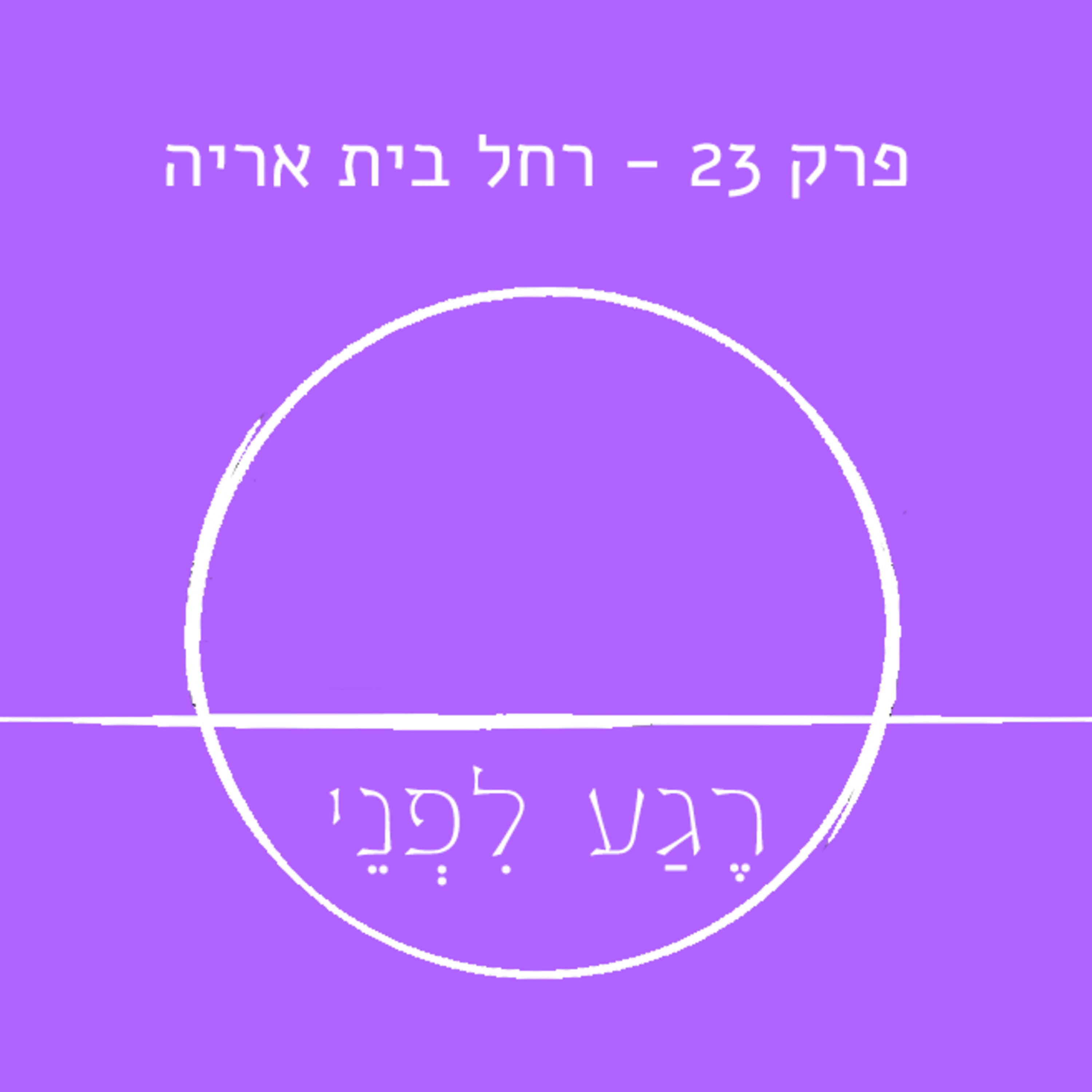 פרק 23 - רחל בית אריה