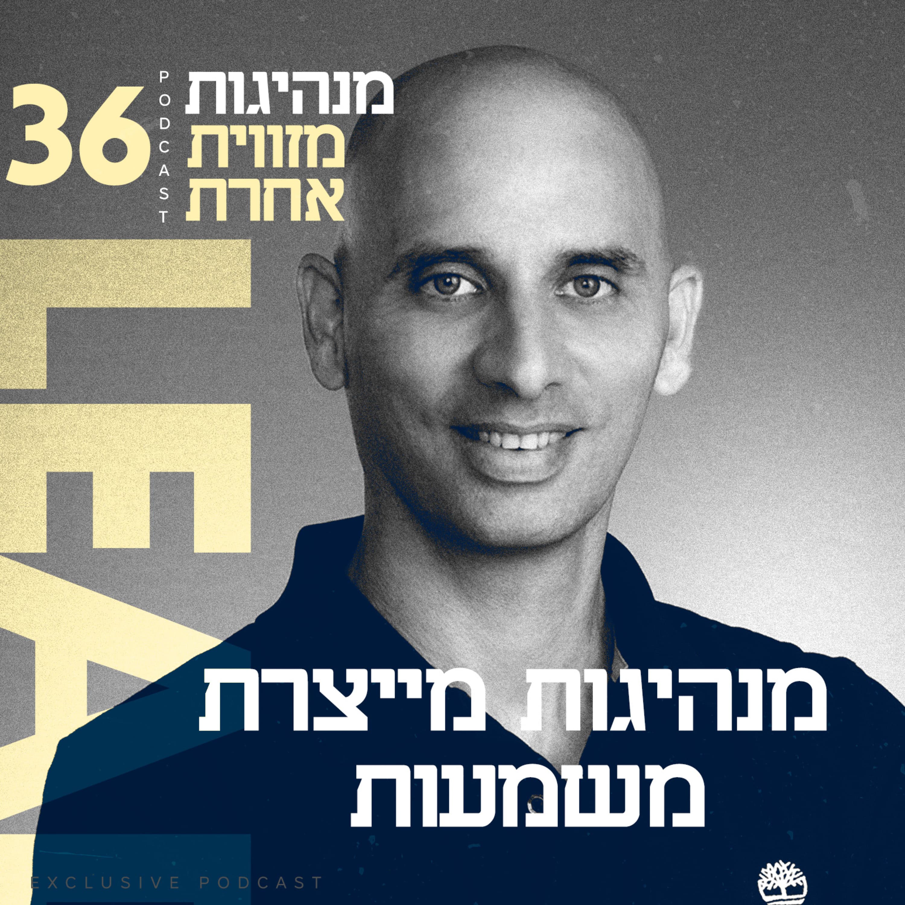 פרק 36 - מנהיגות מייצרת משמעות