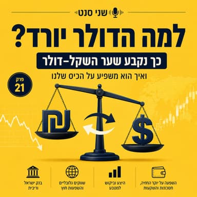למה הדולר יורד? כך נקבע שער השקל–דולר ואיך הוא משפיע על הכיס שלנו | פרק 21