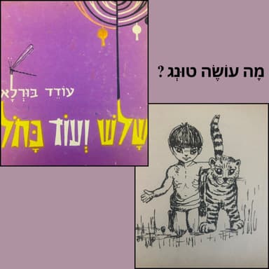 מה עושה טונג ? כתב עודד בורלא