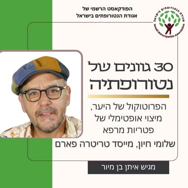 הפרוטוקול של היער, מיצוי אופטימלי של פטריות מרפא - שיחה עם שלומי חיון, מייסד טריטרה פארם
