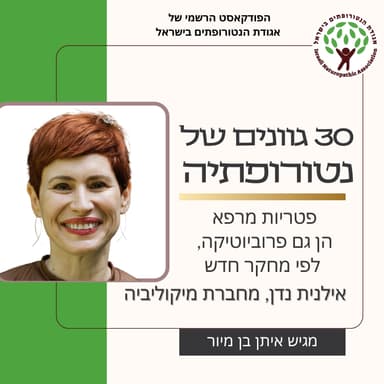פטריות מרפא הן גם פרוביוטיקה, לפי מחקר חדש - שיחה עם אילנית נדן מחברת מיקוליביה