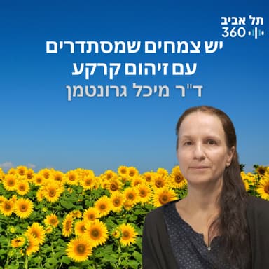 יש צמחים שמסתדרים עם זיהום קרקע