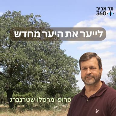 לייער את היער מחדש