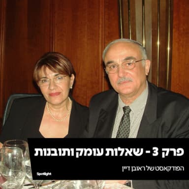 פרק 3 - שאלות עומק ותובנות