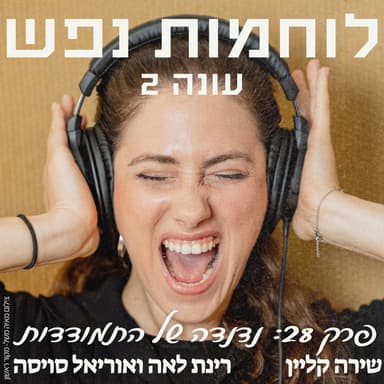 פרק 28: נדנדה של התמודדות