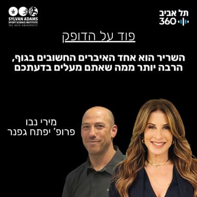 השריר הוא אחד האיברים החשובים בגוף, הרבה יותר ממה שאתם מעלים בדעתכם
