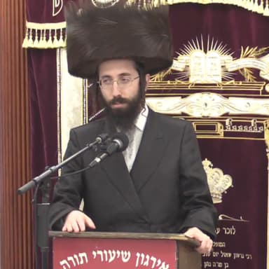 הרב אלעזר ניסן רובין - חומש רש''י בעיון כי תבוא ח''ב