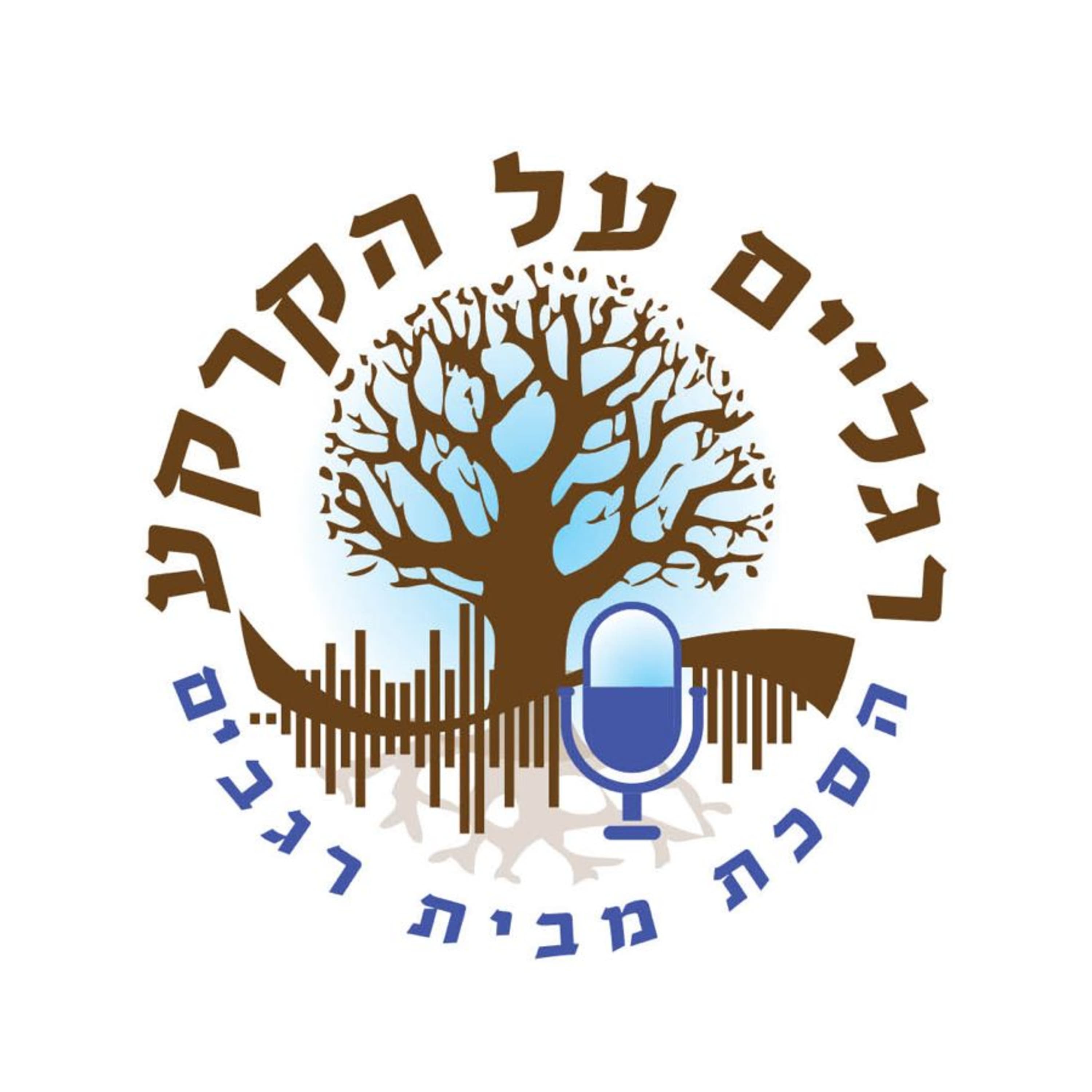 מהדורה מיוחדת: מהקמת רגבים ועד גיוס חרדים