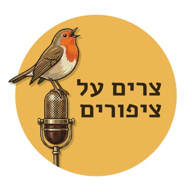 החברה של החבר של הציפור