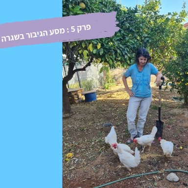 מסע הגיבור בשגרה