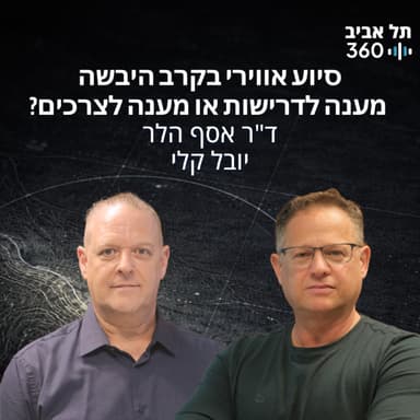 סיוע אווירי בקרב היבשה - מענה לדרישות או מענה לצרכים