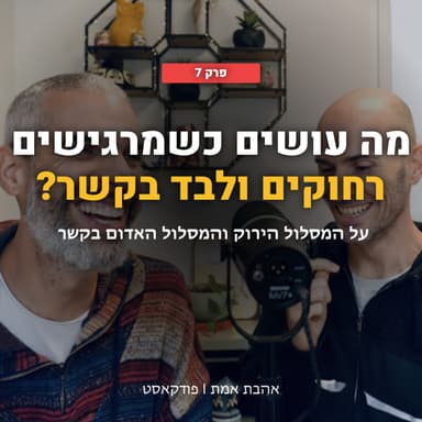 מה עושים כשמרגישים רחוקים ולבד בתוך הקשר הזוגי? | אהבת אמת - פרק 7