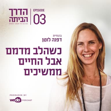 פרק 3 - כשהלב מדמם אבל החיים ממשיכים