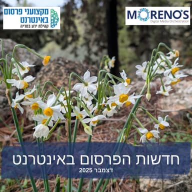 חדשות הפרסום באינטרנט - דצמבר 2025: מחזירים את השליטה למפרסמים