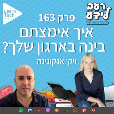 איך אימצתם בינה בארגון שלך? | ויקי אנקונינה | פרק 163