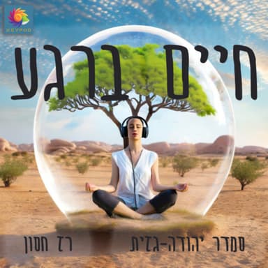 פרק 11 - רואים את זה בגוף