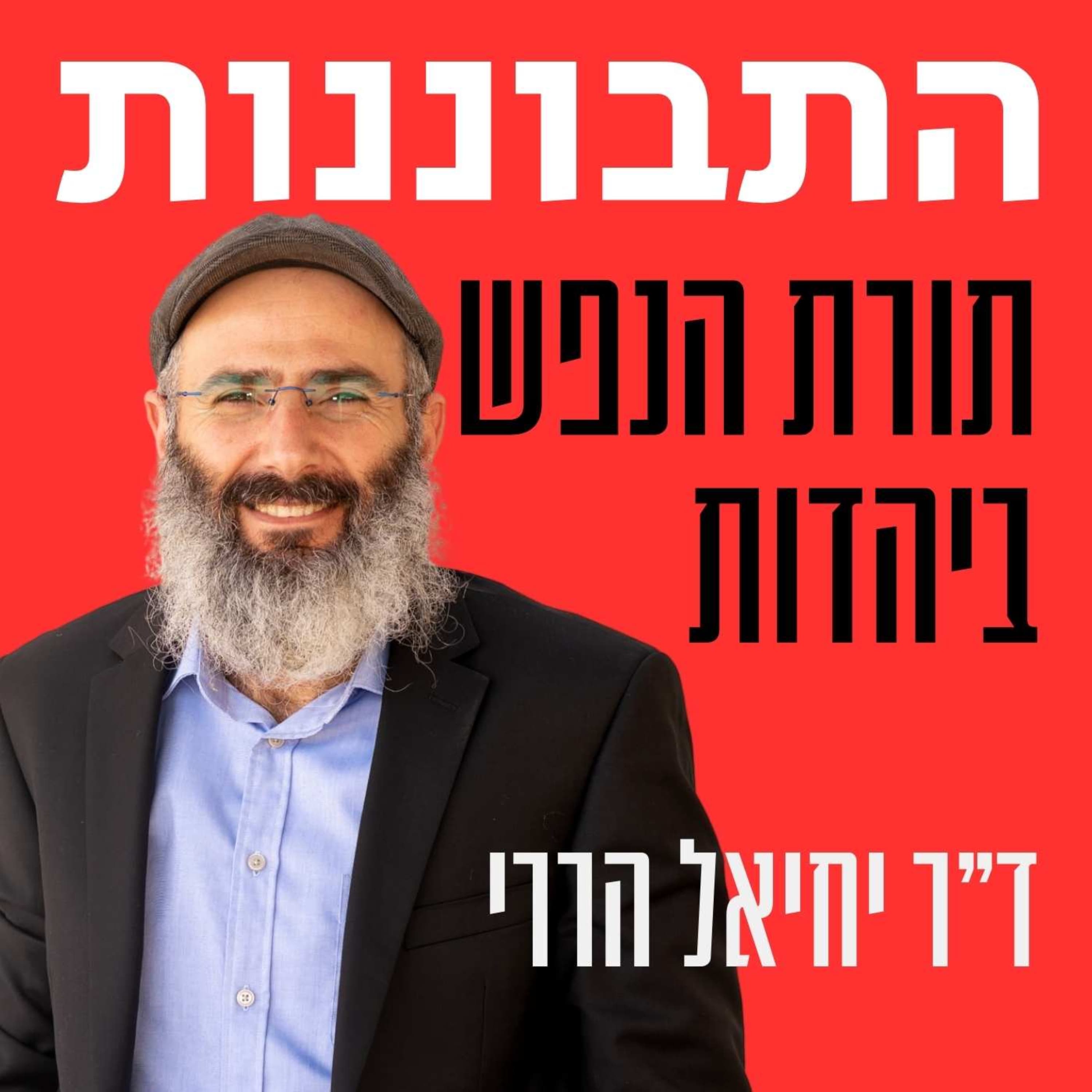 שבעה כללים למימוש הפוטנציאל הנסתר שלי - סודות התלמוד